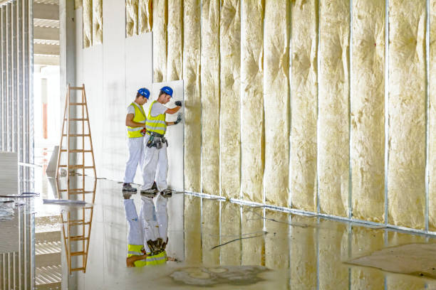 Best Eco-Friendly or Green Insulation Solutions  in Shoreline, WA